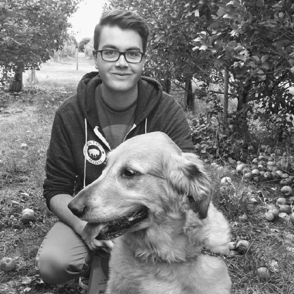 Meet your Posher, Benjamin - Picture 1 of 1